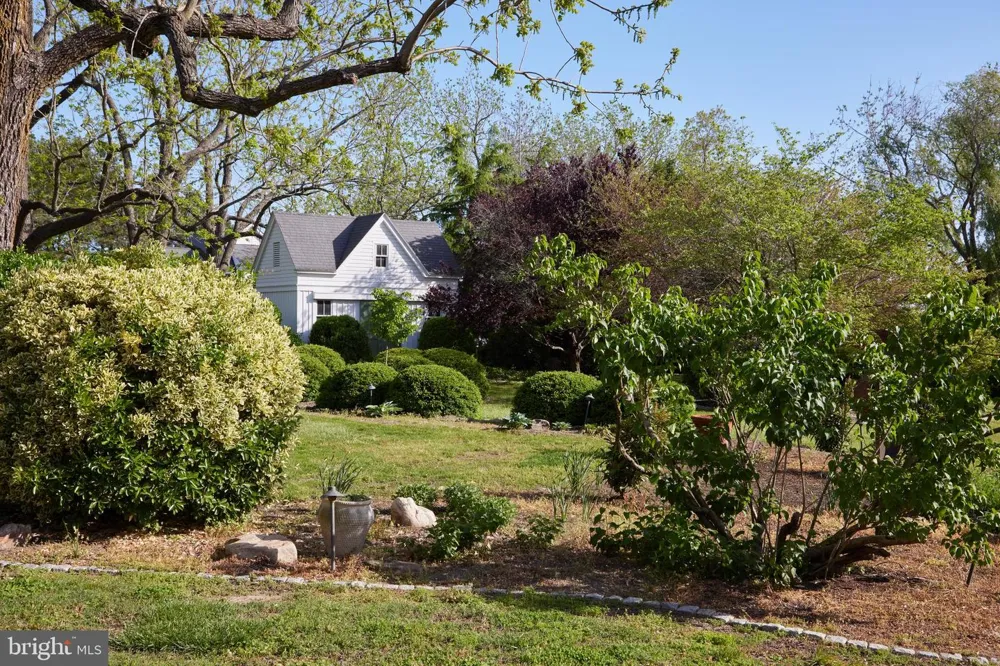 31720 AYRES DRIVE Trappe, MD 21673