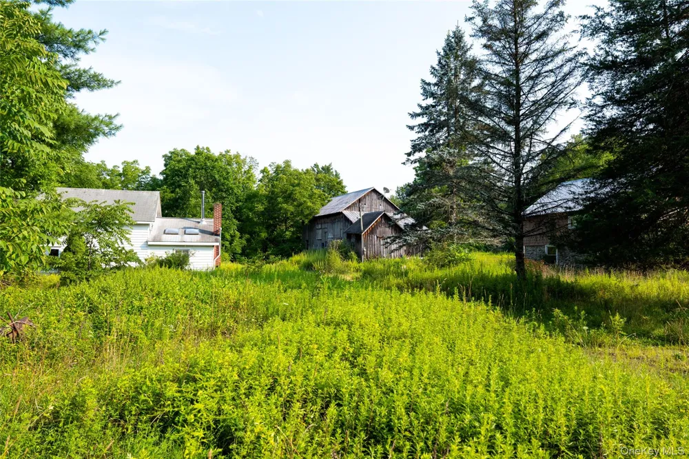55 Hill Road Accord, NY 12404