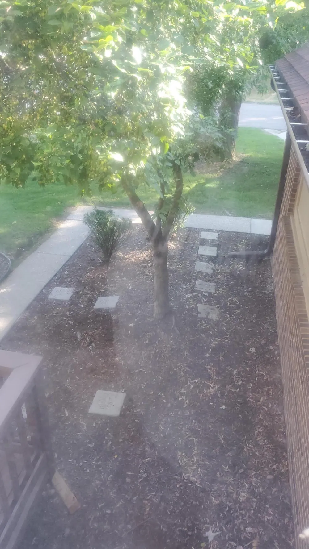 6257 Gatewood Bloomfield Charter Township, MI 48322