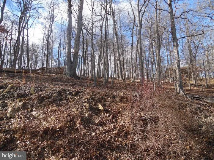 GUSSIN WAY Linden, VA 22642
