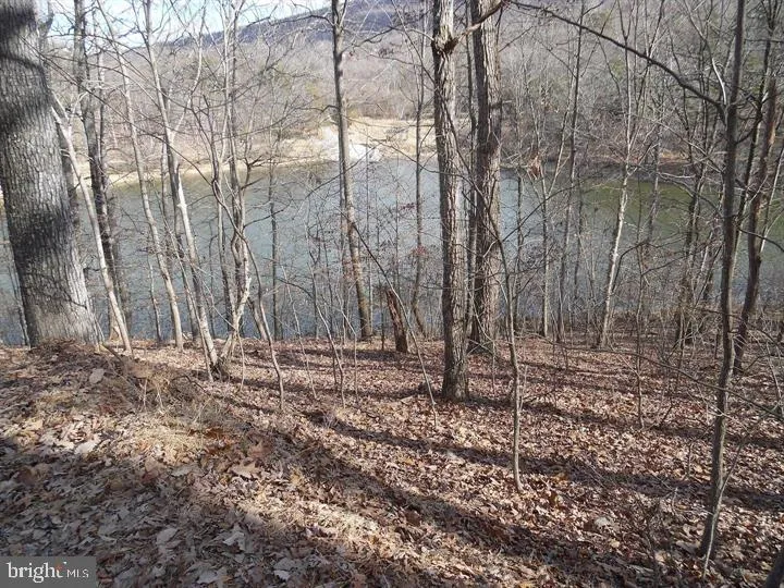 GUSSIN WAY Linden, VA 22642