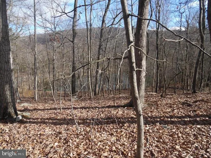GUSSIN WAY Linden, VA 22642