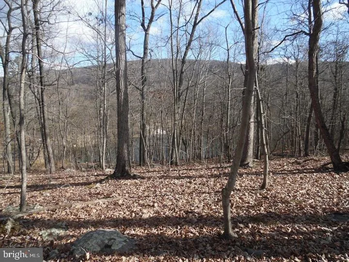 GUSSIN WAY Linden, VA 22642