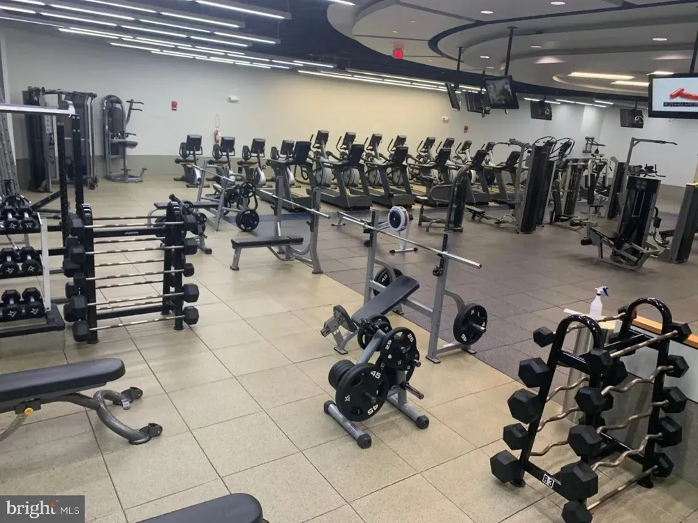 1021 ARLINGTON BOULEVARD #1138 Arlington, VA 22209