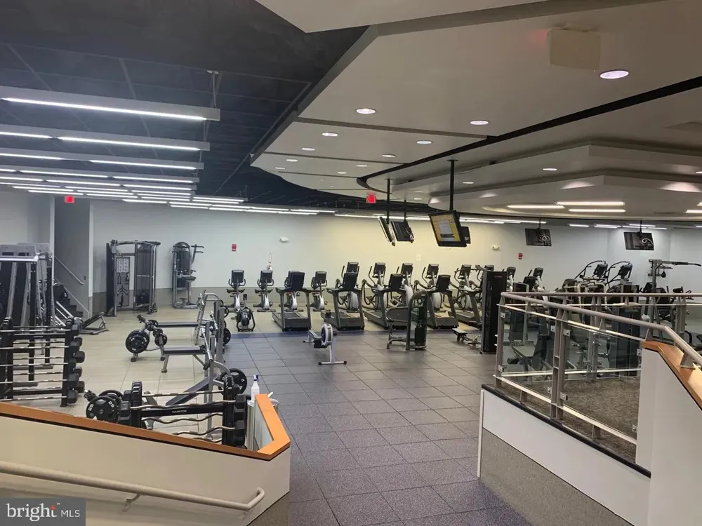 1021 ARLINGTON BOULEVARD #1138 Arlington, VA 22209