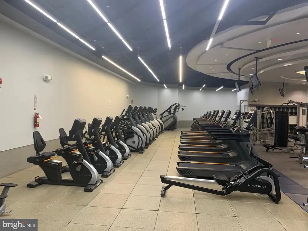 1021 ARLINGTON BOULEVARD #1138 Arlington, VA 22209