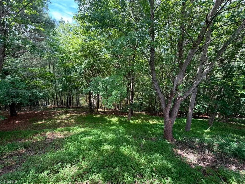 1042 Wells Creek Road Madison, NC 27025