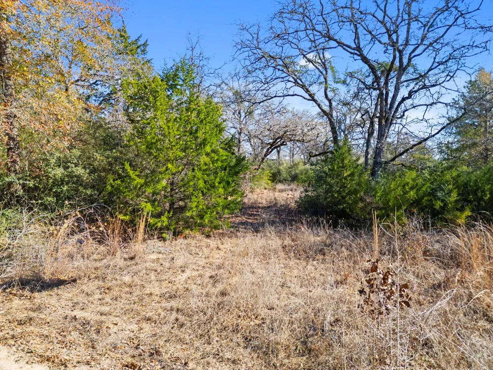 336 Starlight Path Caldwell, TX 77836