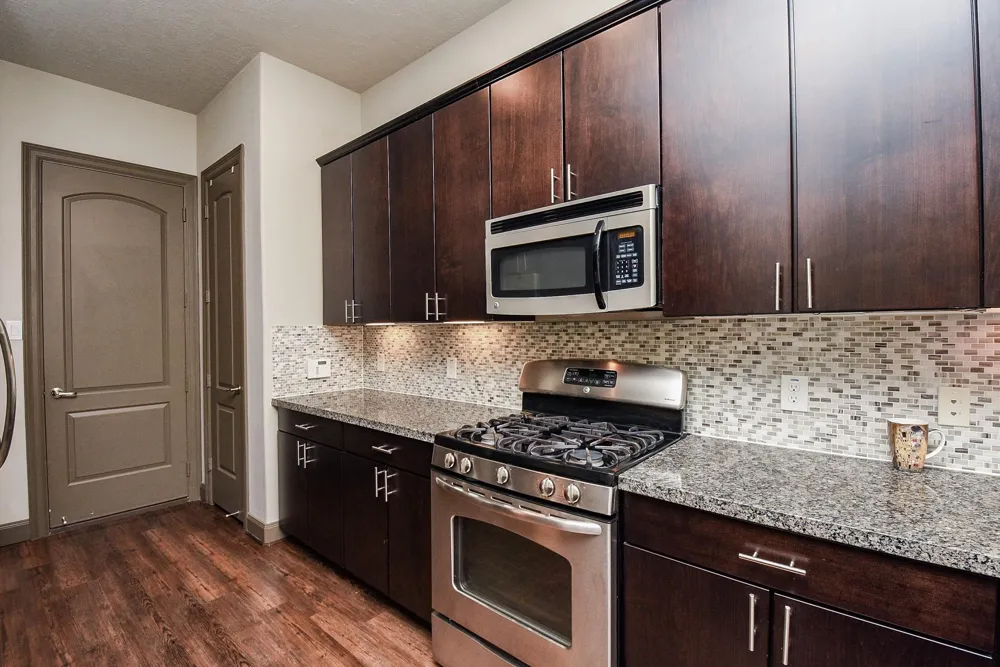 78 Aventura Place Spring, TX 77389