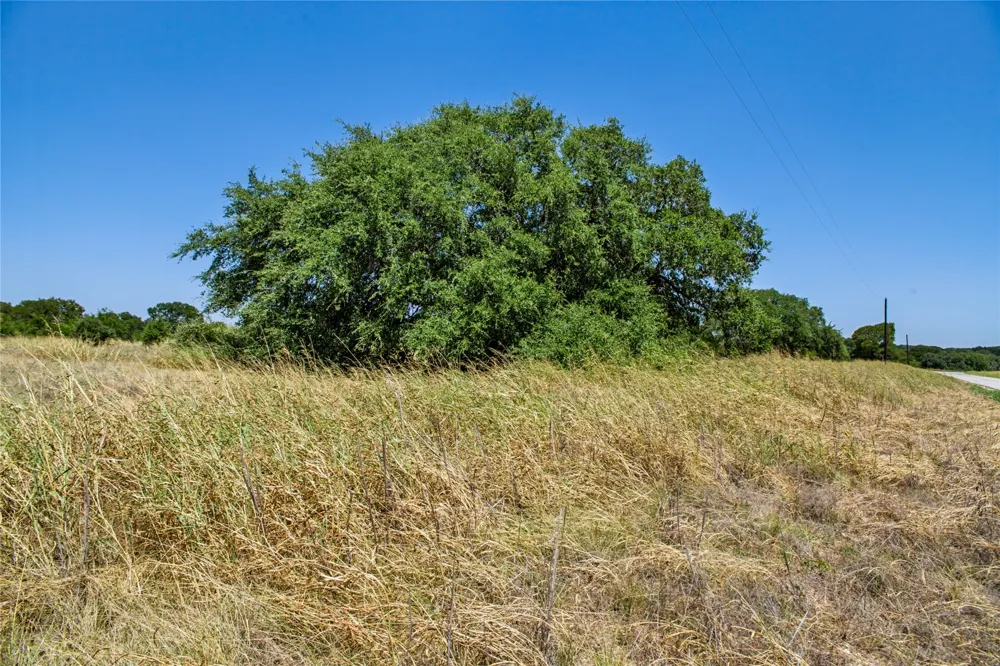 461 Grand Canyon Drive Oglesby, TX 76561