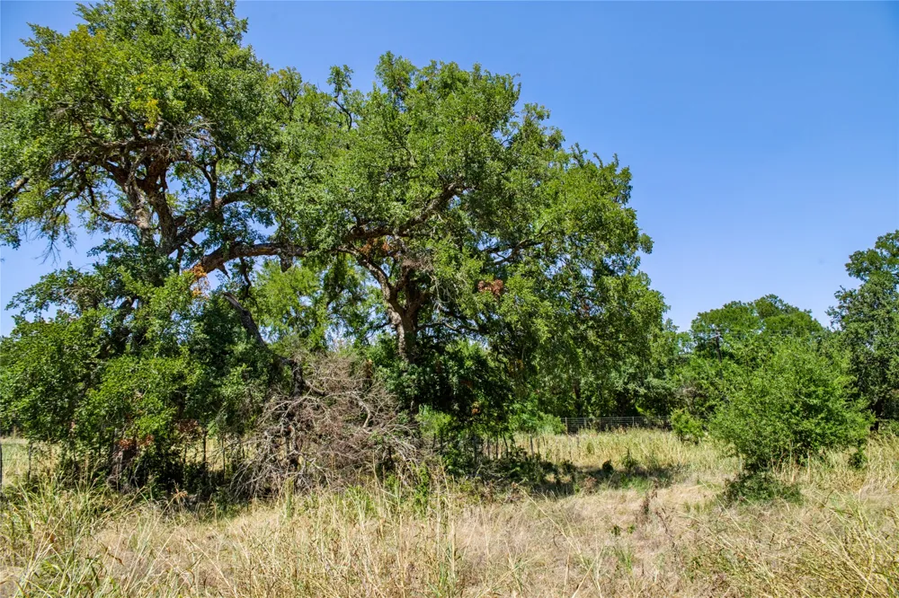 461 Grand Canyon Drive Oglesby, TX 76561