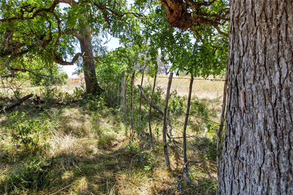 461 Grand Canyon Drive Oglesby, TX 76561