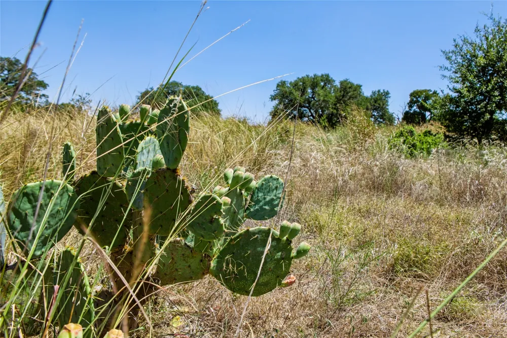 461 Grand Canyon Drive Oglesby, TX 76561