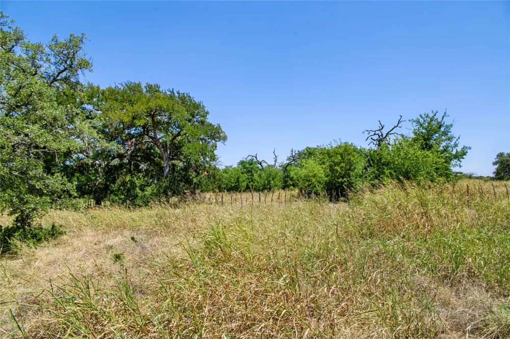 461 Grand Canyon Drive Oglesby, TX 76561