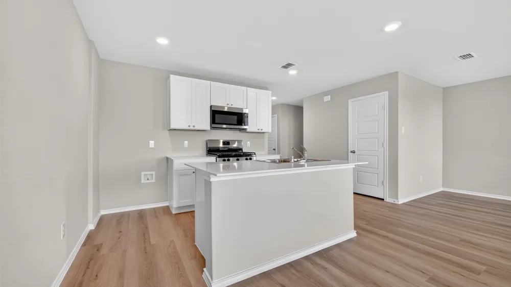 172 HIBISCUS DRIVE Boyd, TX 76023