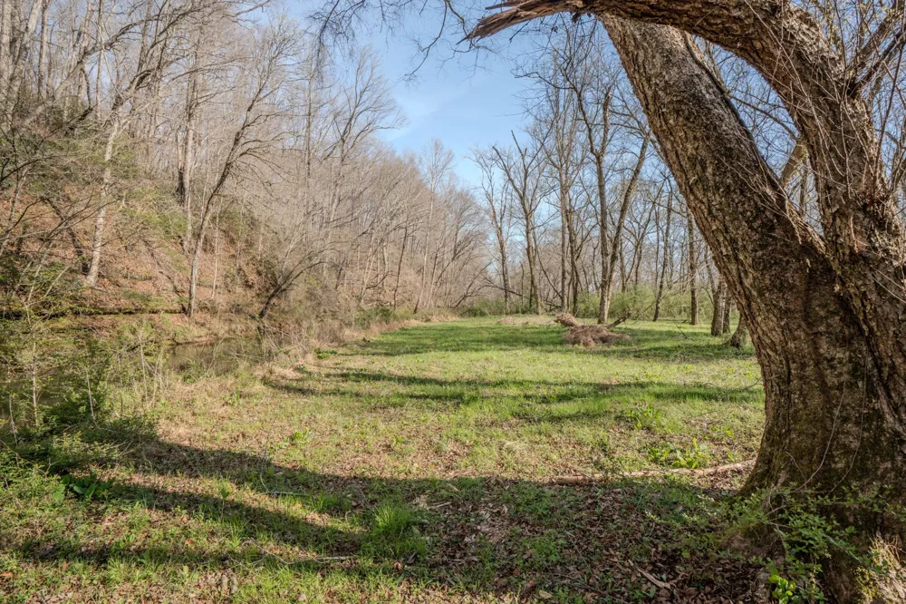 109 Rascaltown Rd Loretto, TN 38469