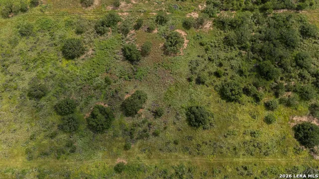 SH 16 Tx 78065 Poteet, TX 78065