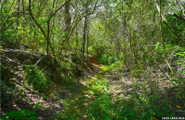 000 CR 438 Harwood, TX 78632