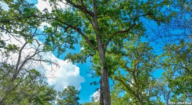 000 CR 438 Harwood, TX 78632