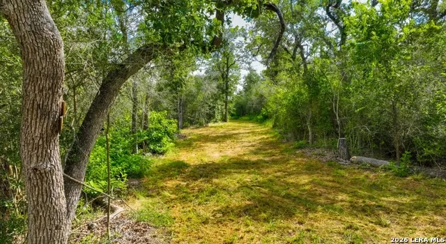 000 CR 438 Harwood, TX 78632