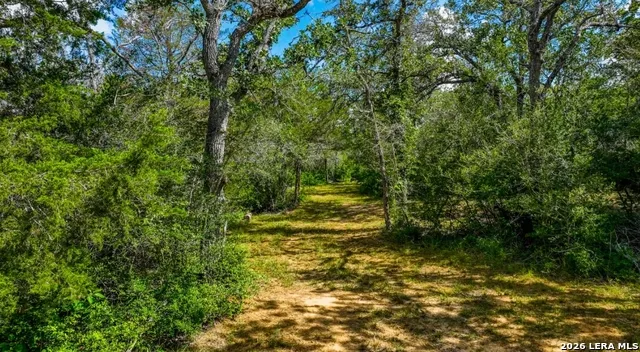 000 CR 438 Harwood, TX 78632