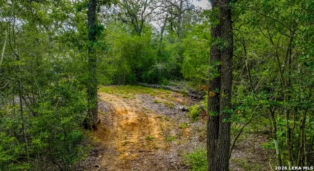 000 CR 438 Harwood, TX 78632