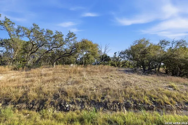 629 Rosemary Ridge Bulverde, TX 78163