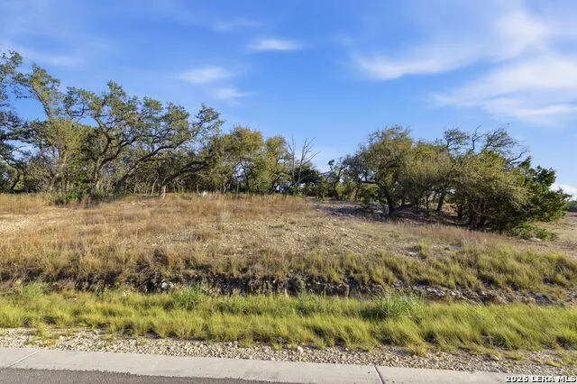 629 Rosemary Ridge Bulverde, TX 78163