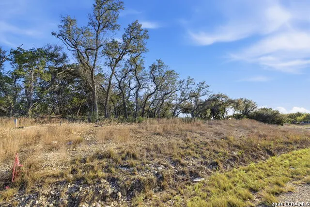 629 Rosemary Ridge Bulverde, TX 78163