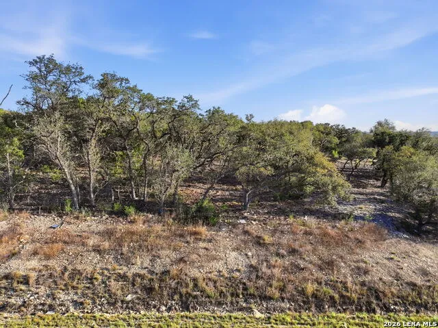 629 Rosemary Ridge Bulverde, TX 78163