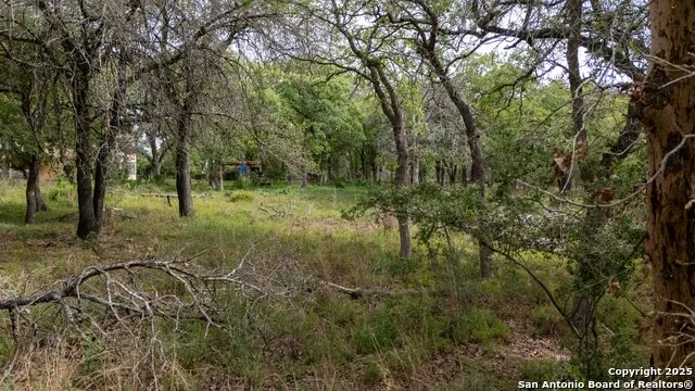 TBD Post Oak Floresville, TX 78114