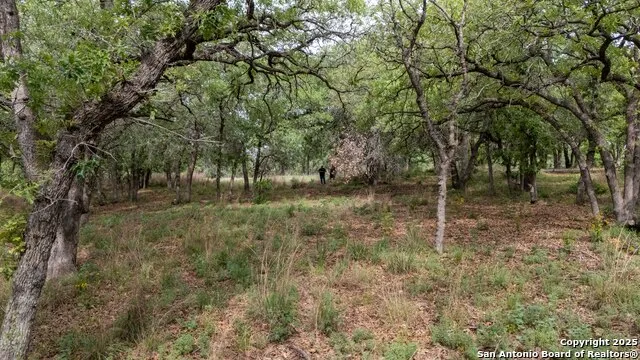 TBD Post Oak Floresville, TX 78114