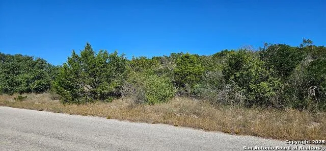 CR 2801 E Lot 202 Mico, TX 78056