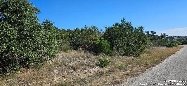 CR 2801 E Lot 202 Mico, TX 78056