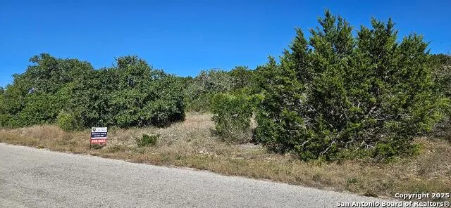 CR 2801 E Lot 202 Mico, TX 78056