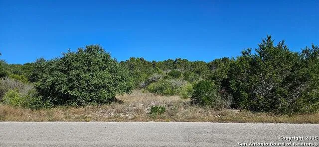 CR 2801 E Lot 202 Mico, TX 78056