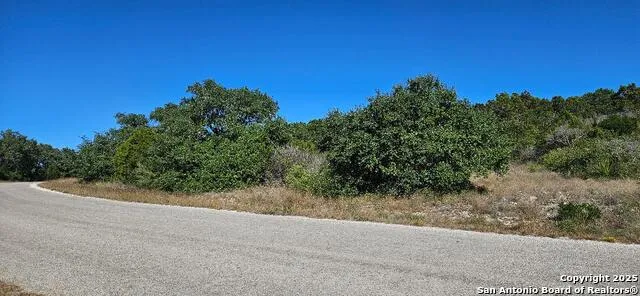 CR 2801 E Lot 202 Mico, TX 78056