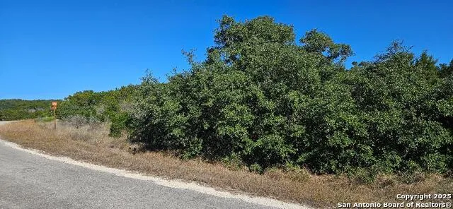 CR 2801 E Lot 202 Mico, TX 78056