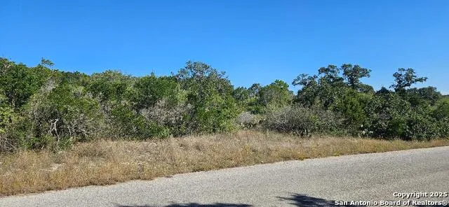 CR 2801 E Lot 202 Mico, TX 78056