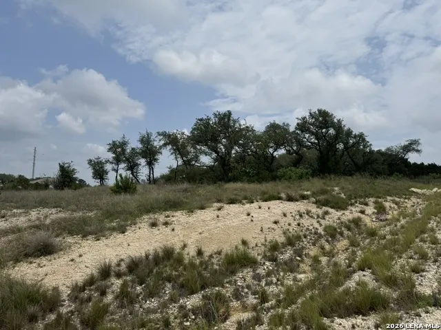 686 Butler Oaks Bulverde, TX 78163