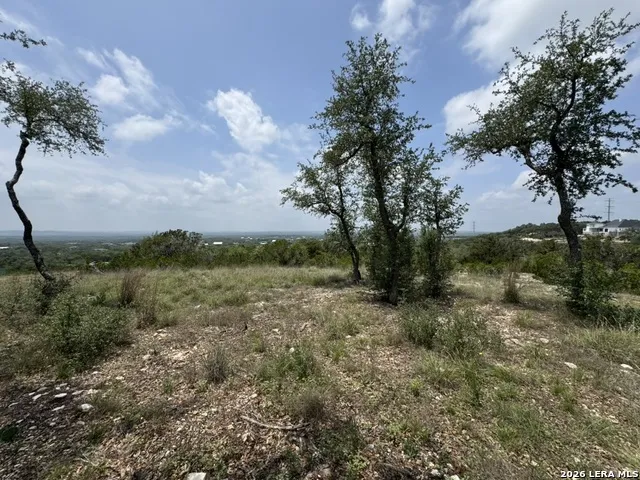 686 Butler Oaks Bulverde, TX 78163