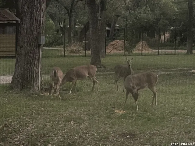 19214 Grey Forest Helotes, TX 78023