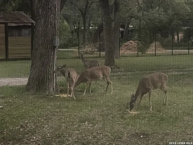 19214 Grey Forest Helotes, TX 78023