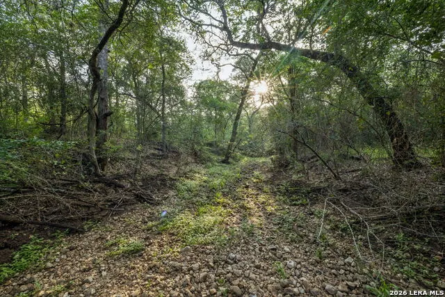 9611 WILKE RD Kingsbury, TX 78638
