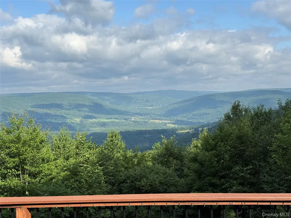 415 High Pine Meadows Rd, Middleburgh NY Road Call Listing Agent, NY 12122