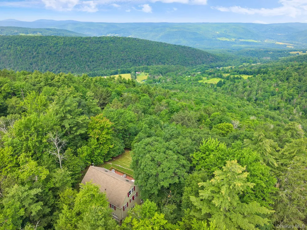 415 High Pine Meadows Rd, Middleburgh NY Road Call Listing Agent, NY 12122