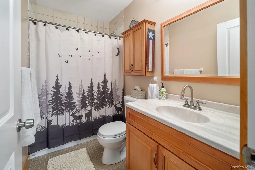 415 High Pine Meadows Rd, Middleburgh NY Road Call Listing Agent, NY 12122