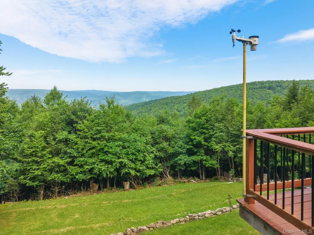 415 High Pine Meadows Rd, Middleburgh NY Road Call Listing Agent, NY 12122