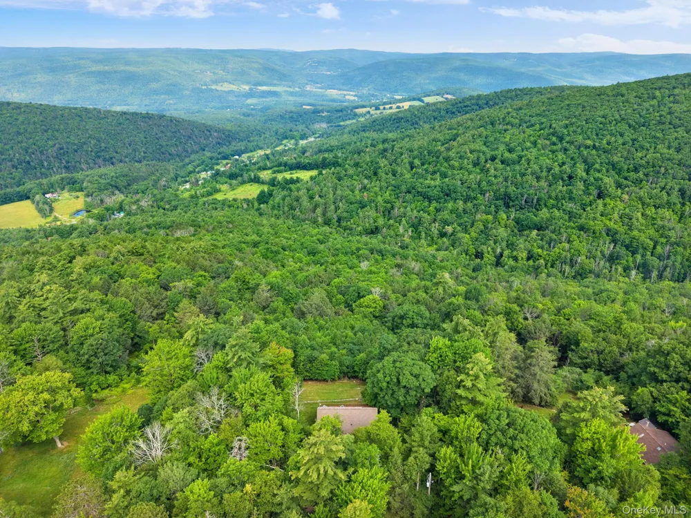 415 High Pine Meadows Rd, Middleburgh NY Road Call Listing Agent, NY 12122