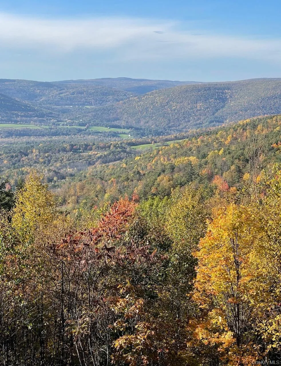 415 High Pine Meadows Rd, Middleburgh NY Road Call Listing Agent, NY 12122